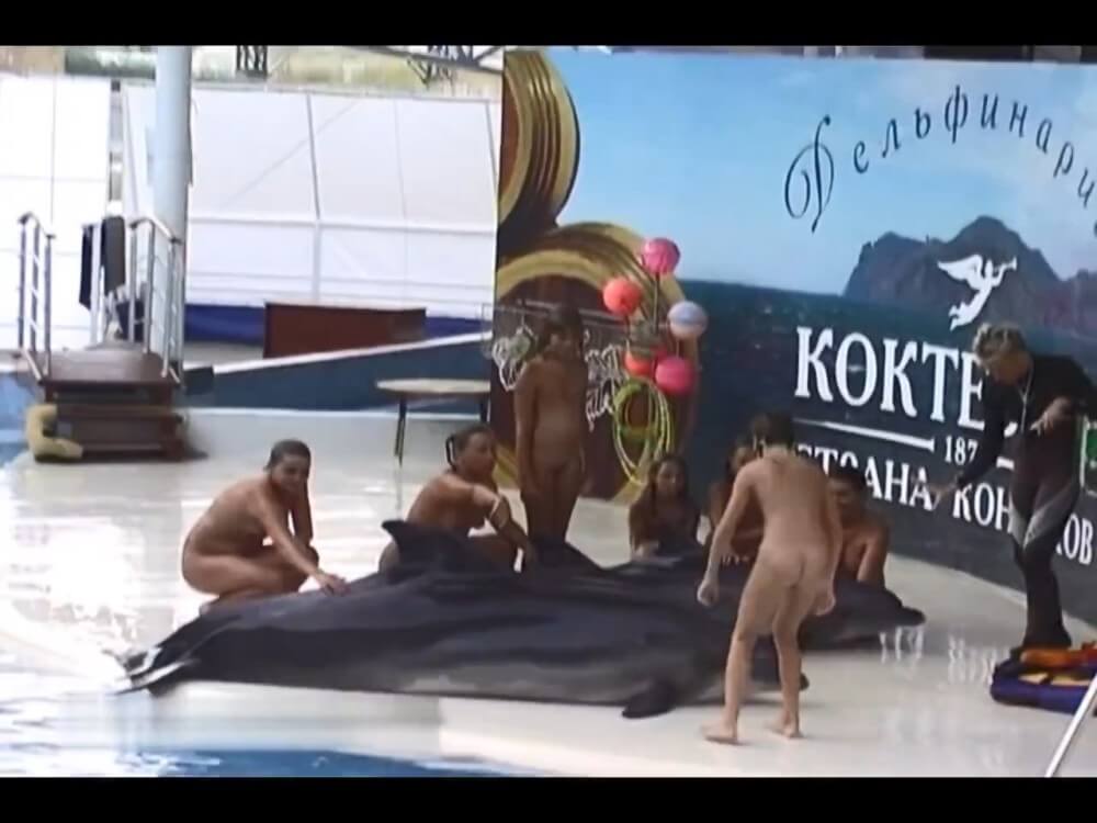 Relaxing at the dolphinarium - nudism in the world